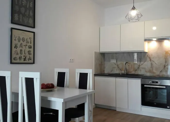 Lux Apartment Close To Medicover And Paley