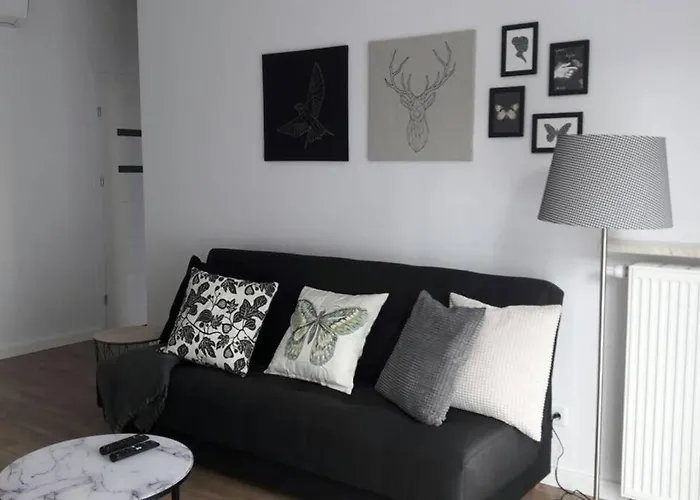 Lux Apartment Close To Medicover And Paley